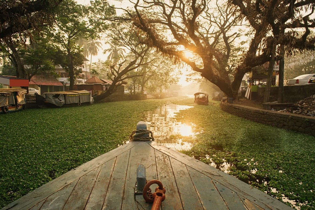 venicebackwaters about