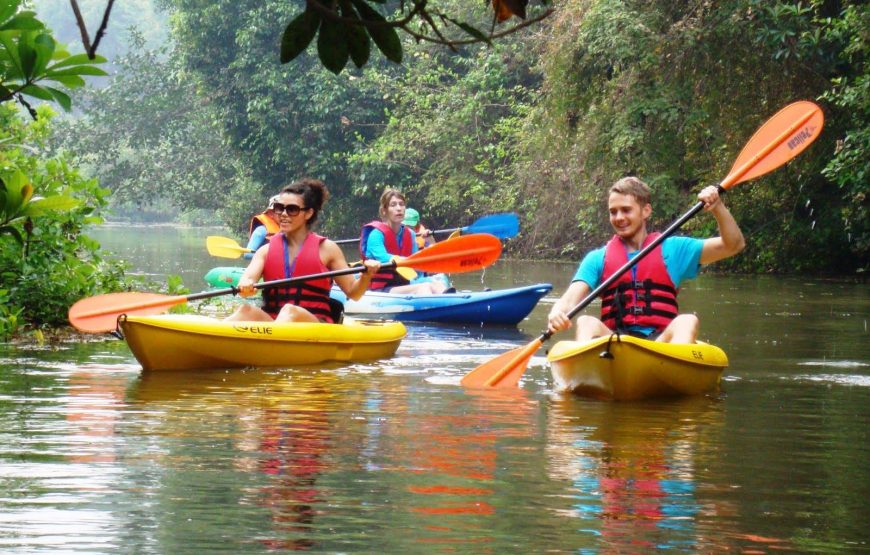 Kayaking experience in Alappuzha backwaters